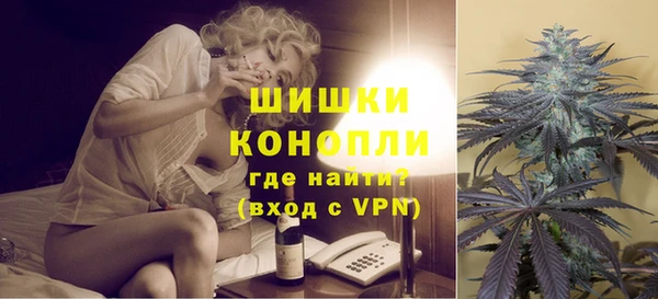 твердый Новодвинск
