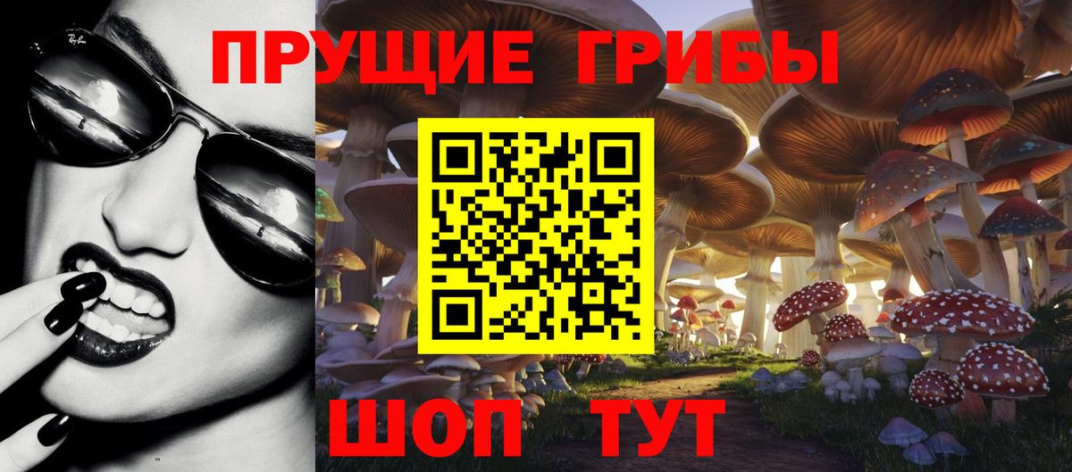 Галлюциногенные грибы мухоморы  Псилоцибиновые грибы мухоморы  Кисловодск  Вход с VPN 