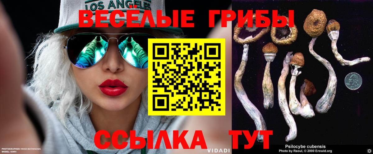 Галлюциногенные грибы Psilocybe Кисловодск