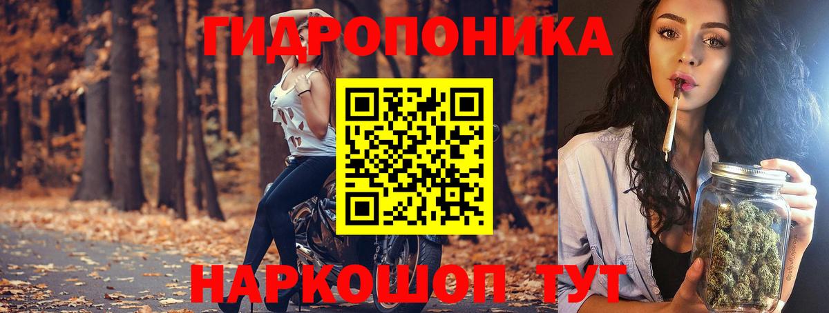 Канабис марихуана  Конопля семена  Бошки марихуана White Widow  Кисловодск 