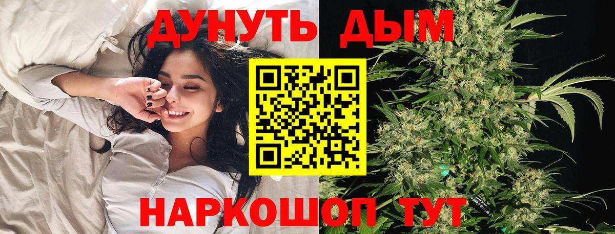 Канабис Bruce Banner  Вход с VPN  МАРИХУАНА семена  Кисловодск 
